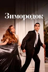 Зимородок 29 серия